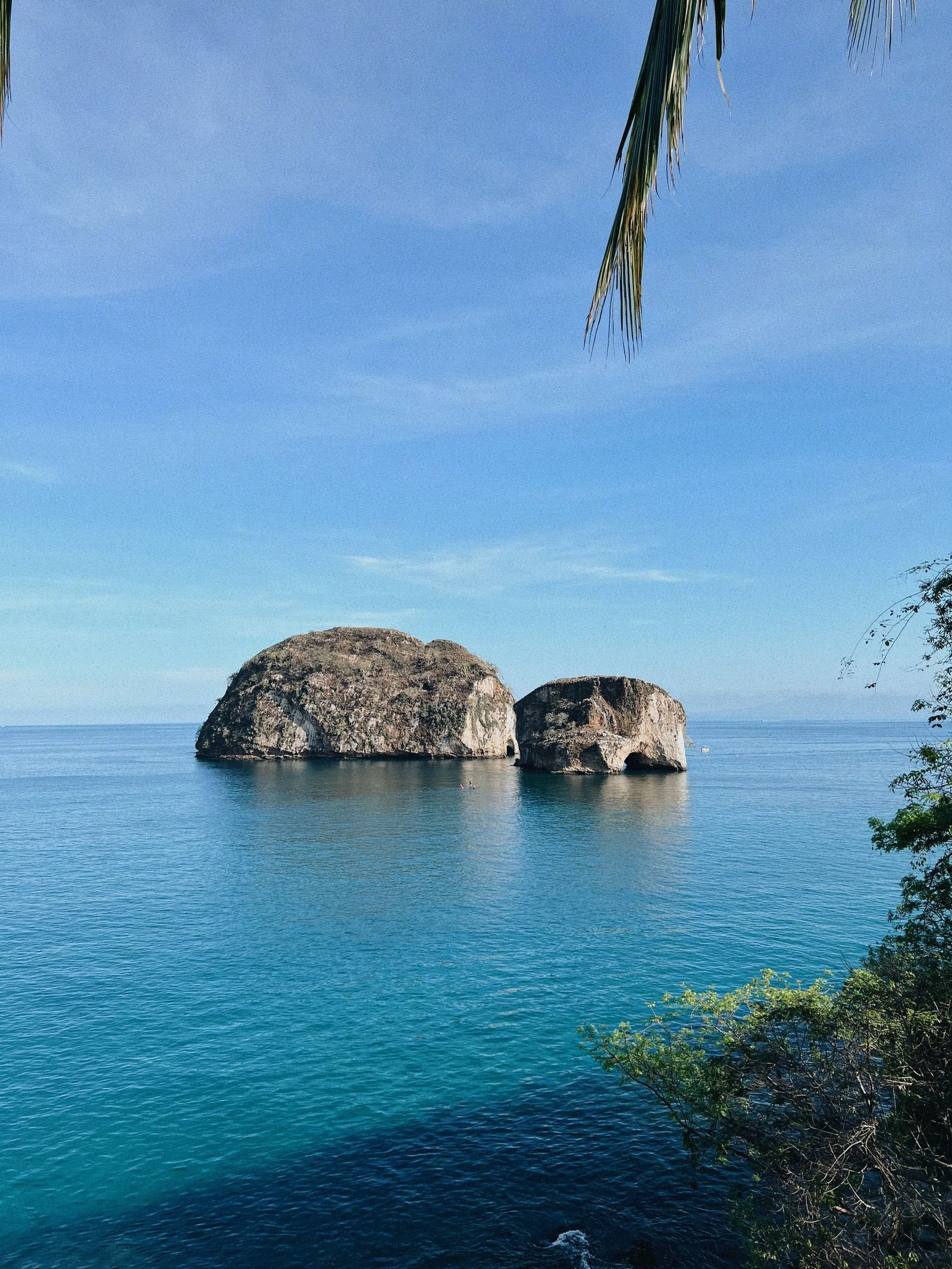 Two of the Los Arcos rocks in blue water, seen from the shore through palm fronds and branches