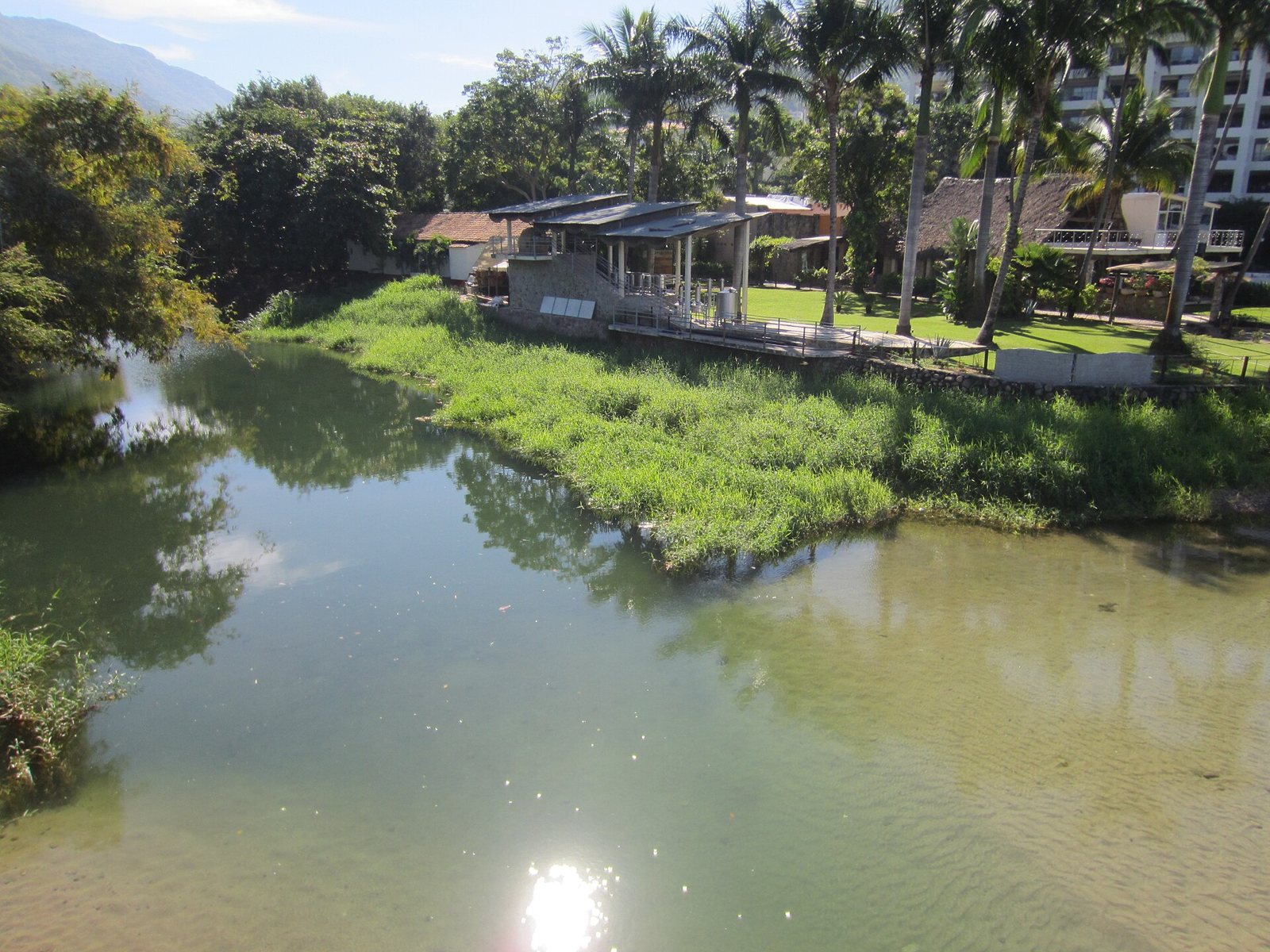 The Cuale River with green banks and palm trees near its mouth in Puerto Vallarta