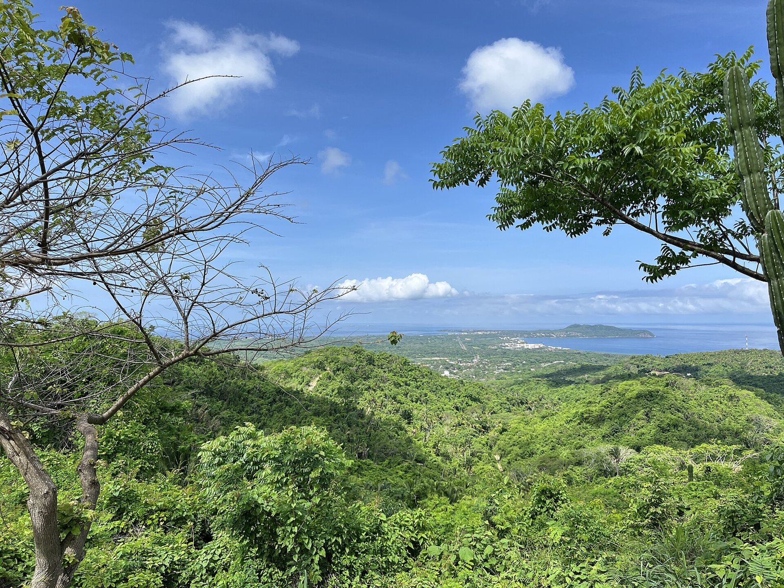 View from a green hillside down to Banderas Bay, with a peninsula in the distance and blue sea