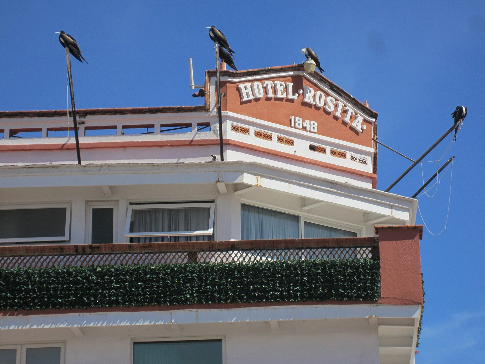 Top of the Hotel Rosita facade with the hotel name and the year 1948 in white letters, frigatebirds perched on rooftop poles against a blue sky