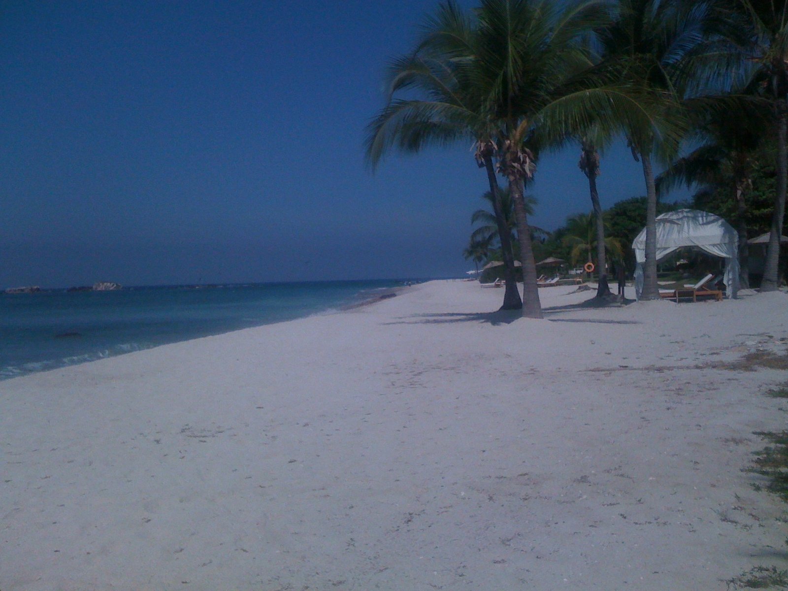 White-sand beach with palm trees, loungers and a white fabric cabana by the sea in Punta Mita