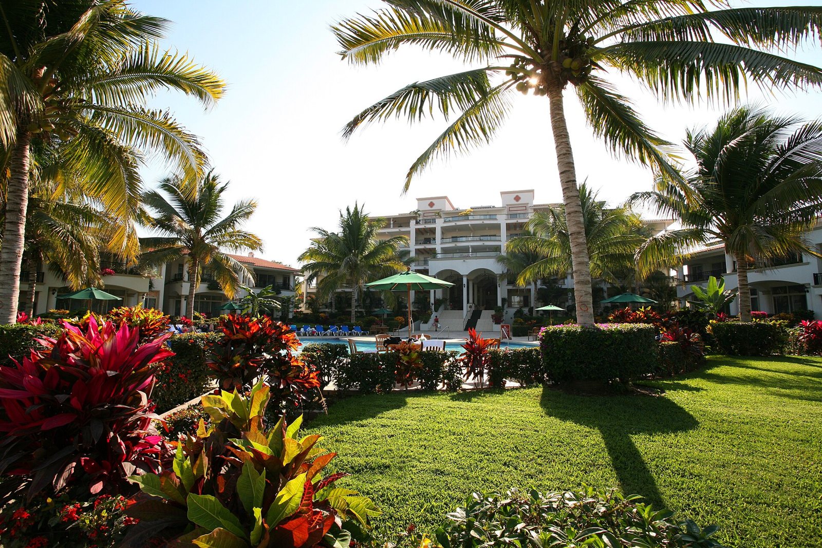 Palm trees and colorful tropical plants in front of the pool and white building of a resort in Nuevo Vallarta
