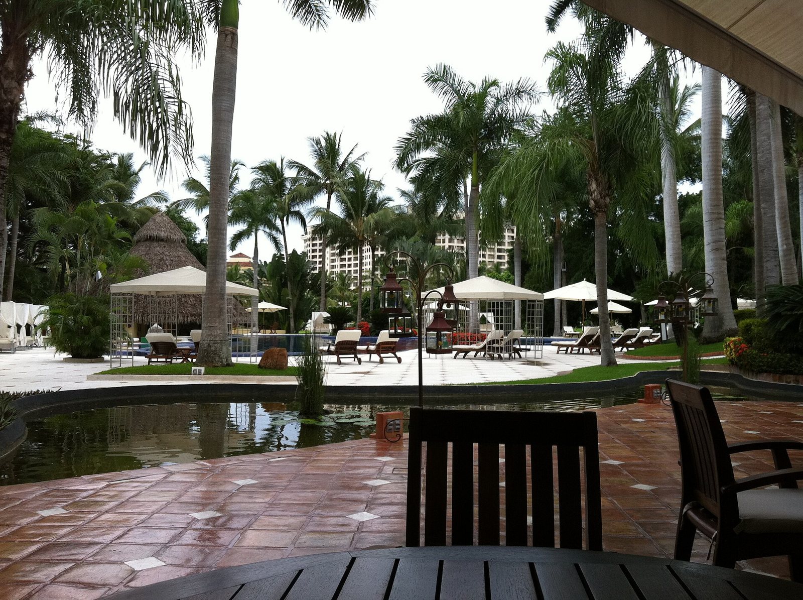 Garden with tall palm trees, white lounge chairs, pergolas and a palapa around a pool, seen from a terracotta-tiled terrace