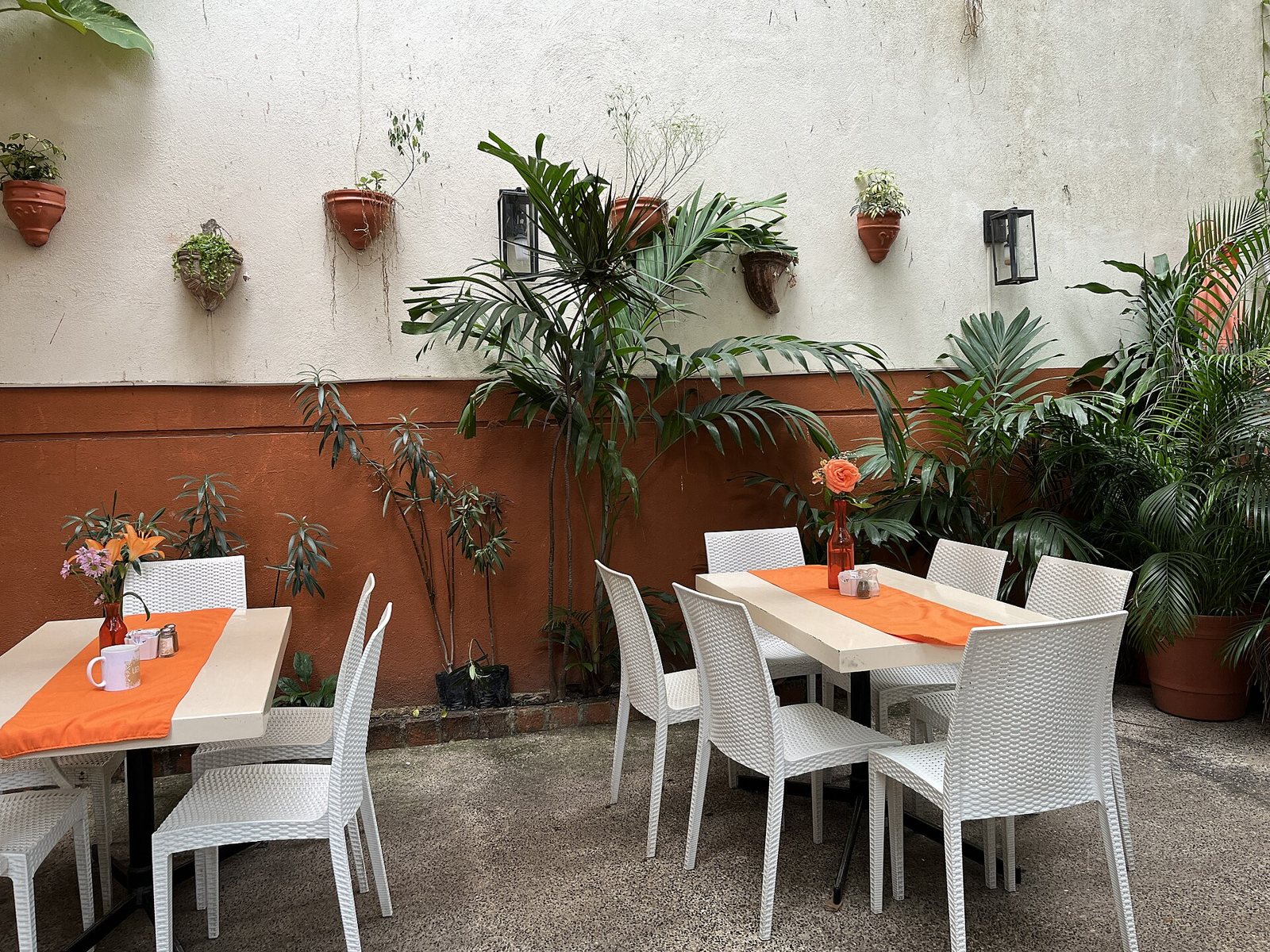 Patio at Coco's Kitchen with orange table runners, white chairs, flowers in vases and plants against a white and terracotta wall