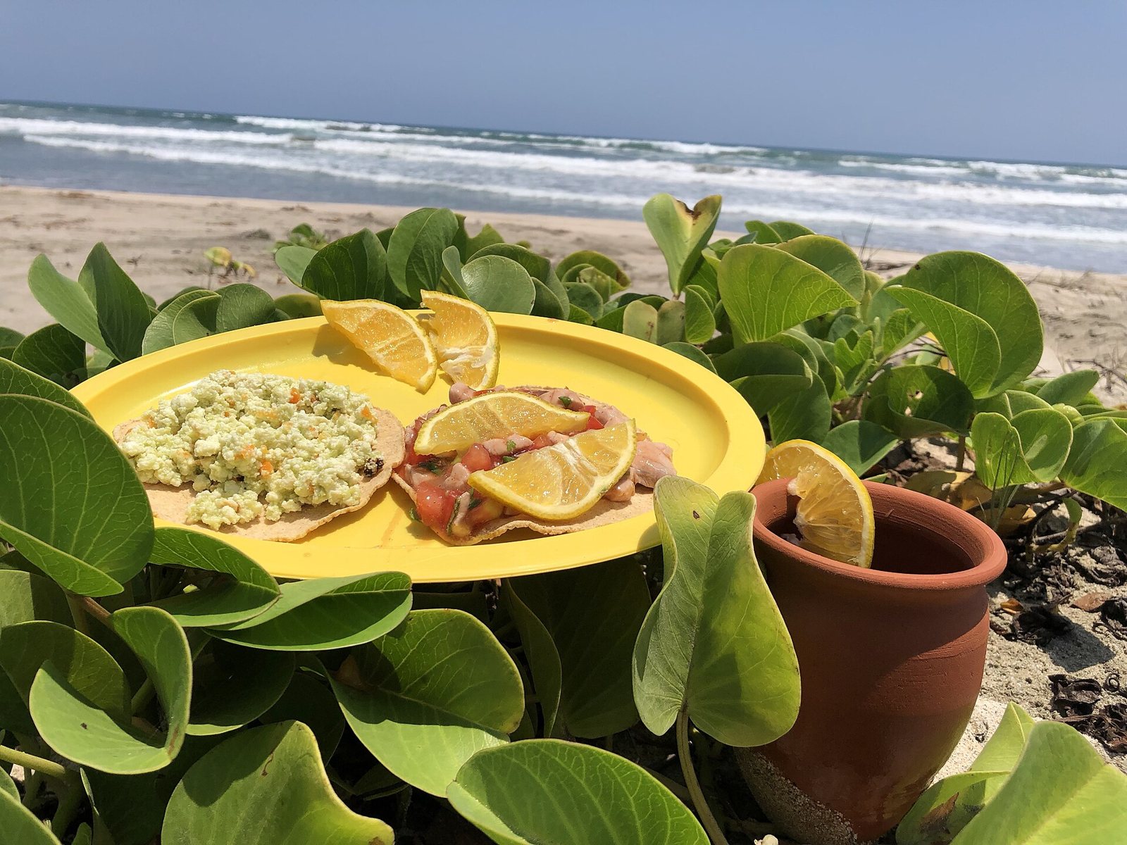 Yellow plate with a fish ceviche tostada and a requesón tostada topped with lime slices, set among beach plants with the ocean behind